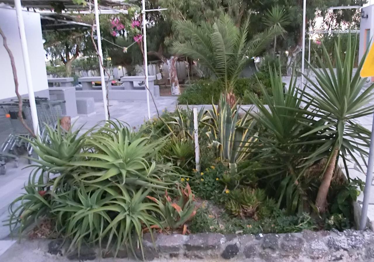 Santorini Camping & Hostel Fira  Exterior foto