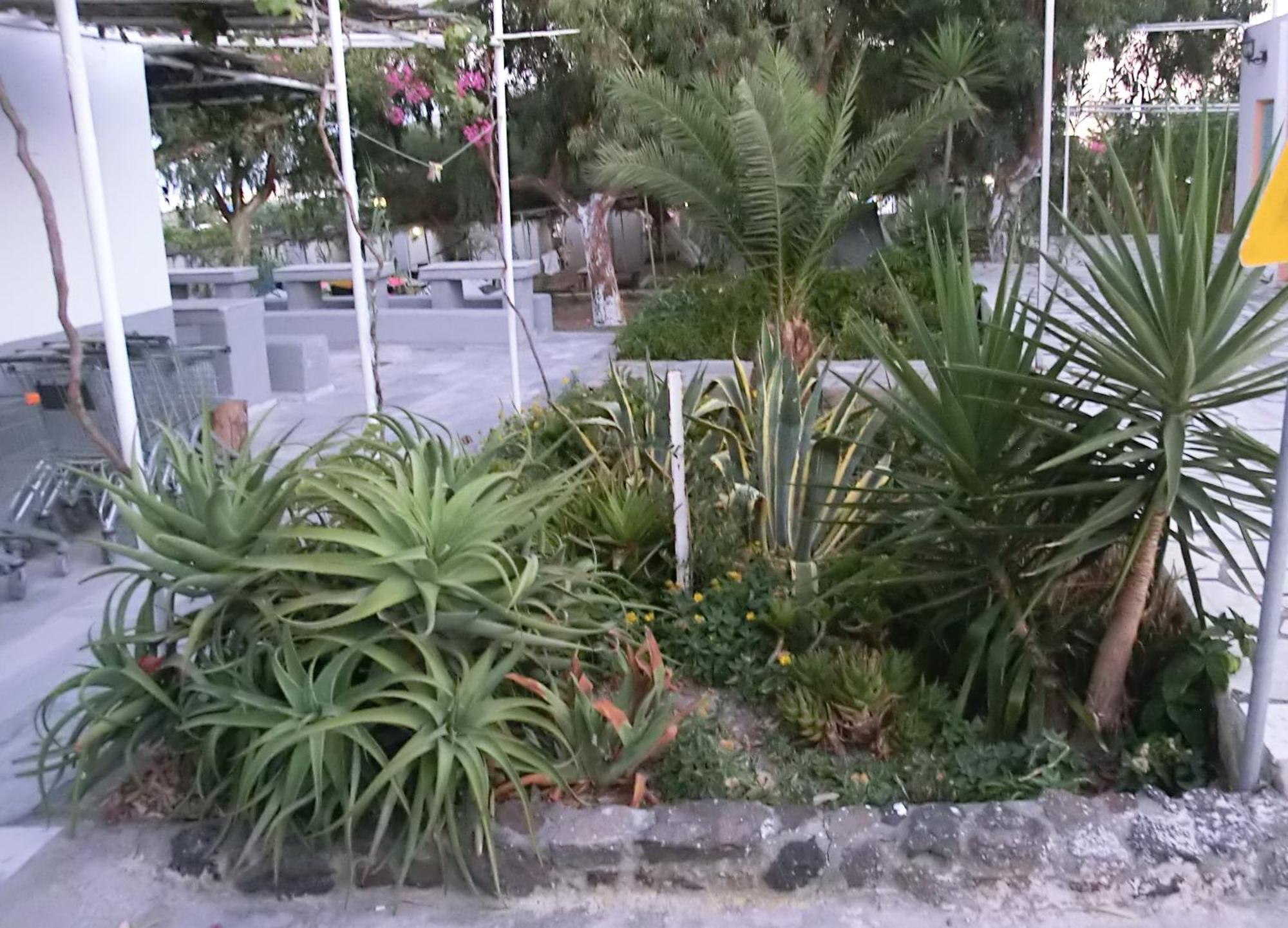Santorini Camping & Hostel Fira  Exterior foto
